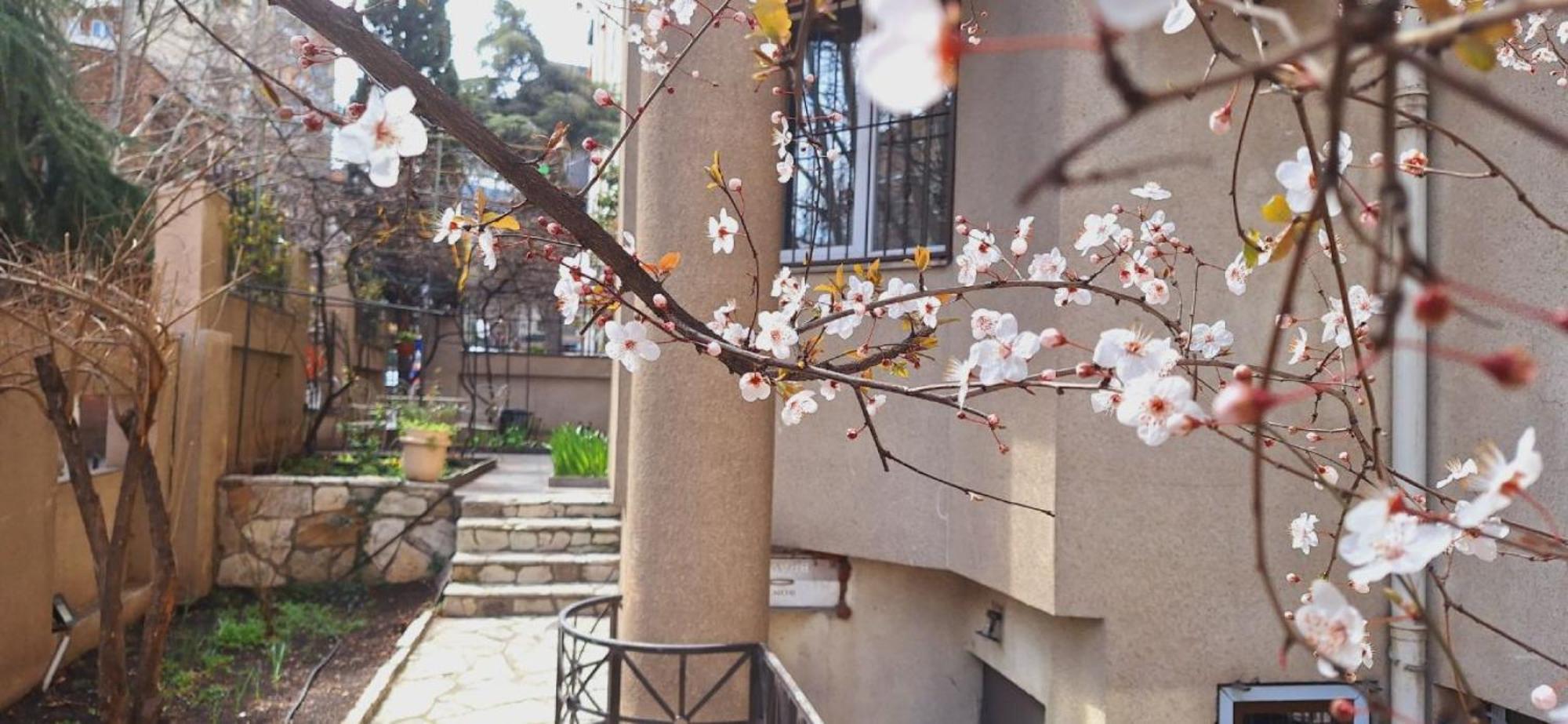 Iliani Hotel Тбилиси Екстериор снимка